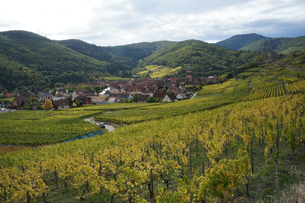Alsace Wine Route Itinerary